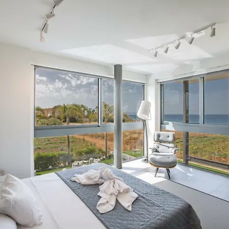 Chana 프로타라스